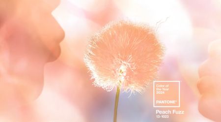 Pantone Color of the Year - Fuzzy Peach