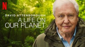 A Life on Our Planet Documentary
