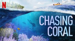 Chasing Coral Documentary