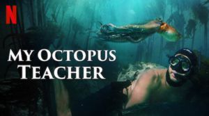 My Octopus Teacher Documentary